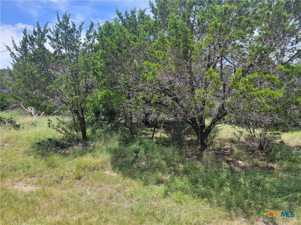 16011 Brazos DR, Temple, TX 76502
