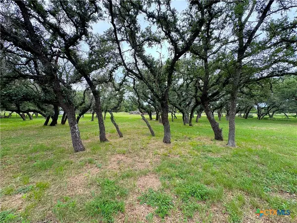 Spring Branch, TX 78070,318 Crooked Oak DR