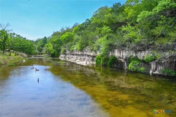 Harper, TX 78631,170 Goose Landing WAY