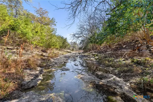 Blanco, TX 78606,111 La Luna DR