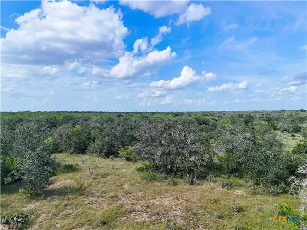 Smiley, TX 78159,Lot 1 County Road 211
