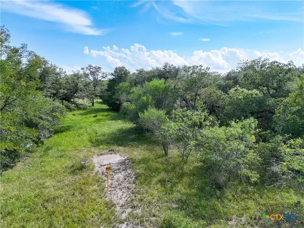 Smiley, TX 78159,Lot 1 County Road 211