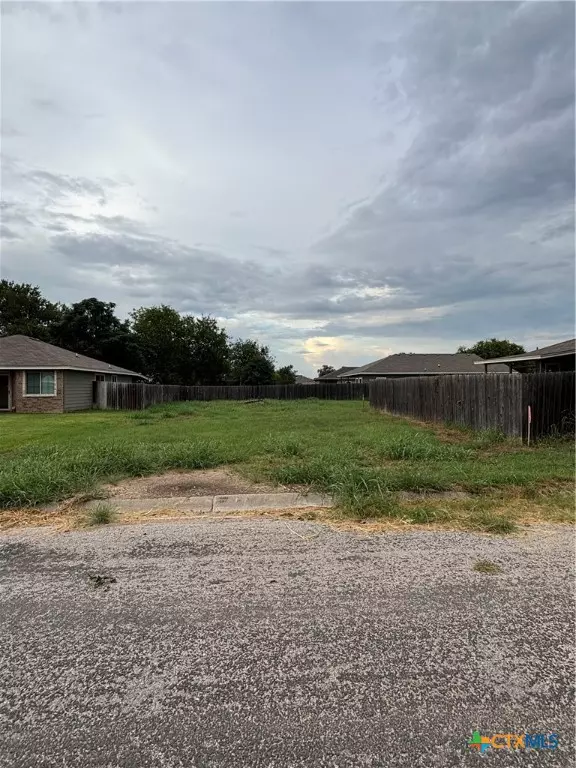 Lampasas, TX 76550,612 Briggs ST