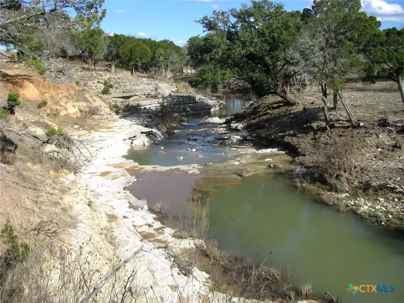 1466 Buffalo Creek Dr DR, Evant, TX 76525