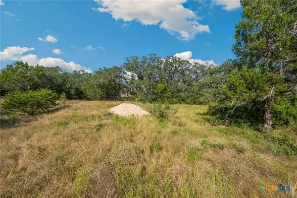 New Braunfels, TX 78132,1732 Herbelin RD