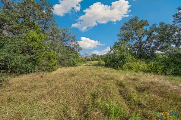 New Braunfels, TX 78132,1732 Herbelin RD