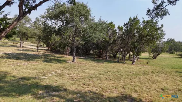 Spring Branch, TX 78070,134 Stallion Estates DR