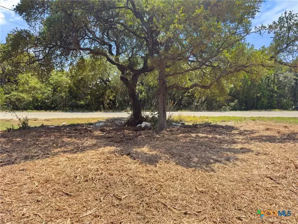 Spring Branch, TX 78070,1107 High Point LN