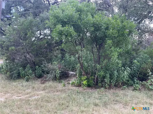 Canyon Lake, TX 78133,1640 Comfort