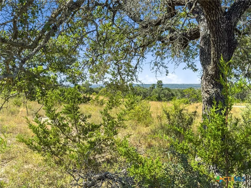 820 Stone Ridge Mountain DR, Round Mountain, TX 78663