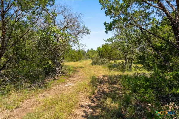 Briggs, TX 78608,195 Buck Rabbit RD