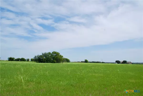 Schulenburg, TX 78956,Tract 2 Company Field RD