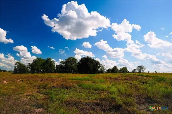 Flatonia, TX 78941,1432 N Knezek RD