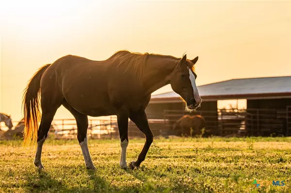 Liberty Hill, TX 78642,000 CR 284