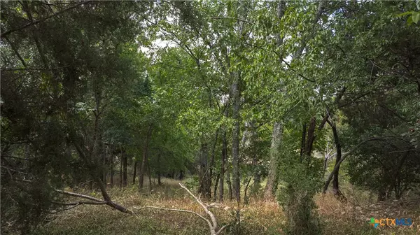 Salado, TX 76571,800 Hillcrest DR