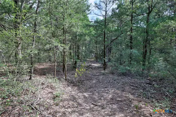 Paige, TX 78659,128 Barras RD