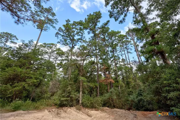 Paige, TX 78659,128 Barras RD