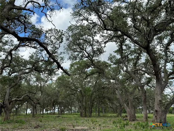 Goliad, TX 77963,1776 FM 1351