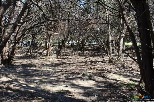 Canyon Lake, TX 78133,535 Ridgerock DR