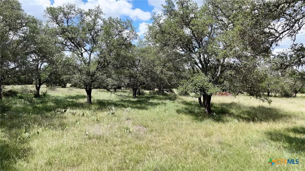 TBD Lot 135 Shin Oak DR, Lampasas, TX 76550