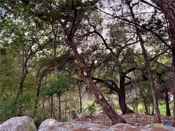 Canyon Lake, TX 78133,1059 Summit BLF