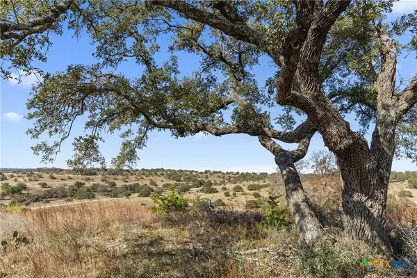 Johnson City, TX 78636,2024 Summit Ridge TRL