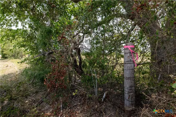 Lockhart, TX 78644,lot 4 Fm-86