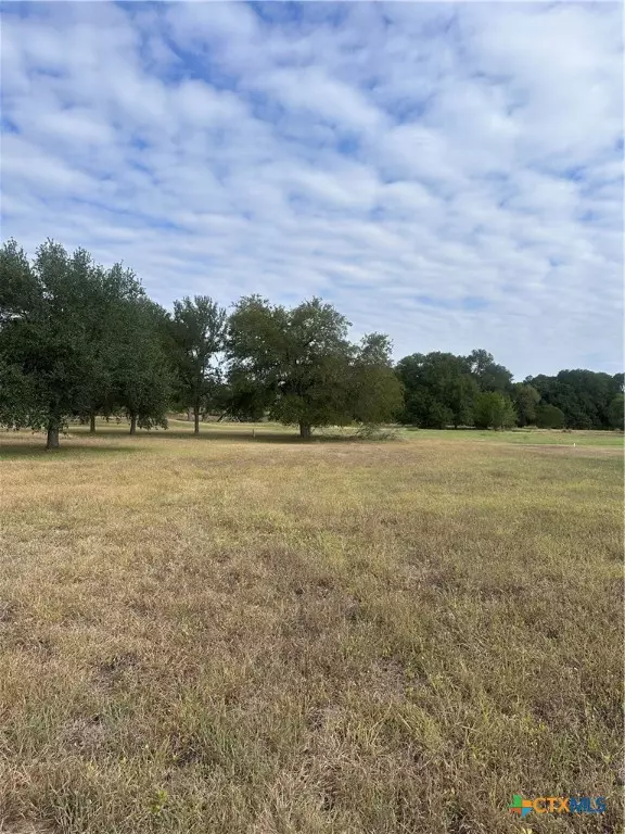 Seguin, TX 78155,TBD Fm-725