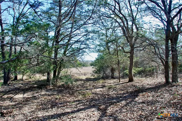 Flatonia, TX 78949,1485 Davis RD