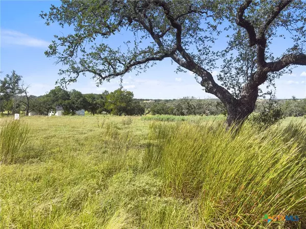 Fredericksburg, TX 78624,190 Axis CIR