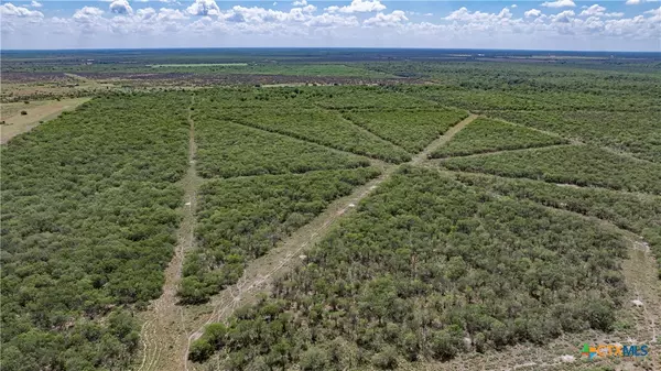 Victoria, TX 77905,000 Morris Town RD
