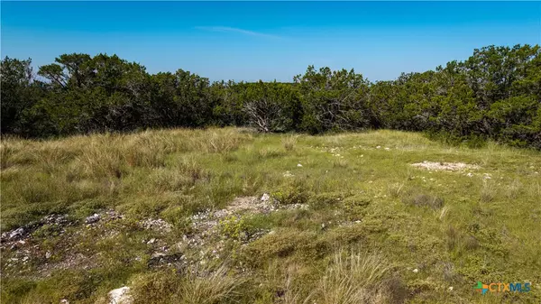 Kerrville, TX 78028,150 Branched Out Trail