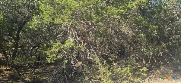 Spring Branch, TX 78070,716 Line Camp LOOP