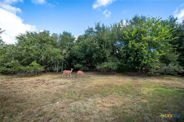 New Braunfels, TX 78132,331 Mill RUN
