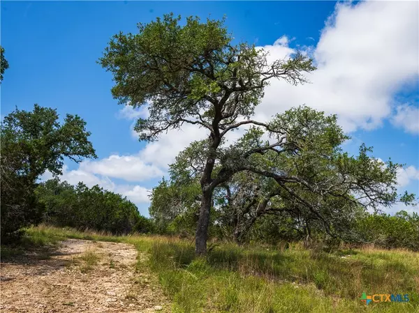 Dripping Springs, TX 78676,000 Heritage Creek Ranch