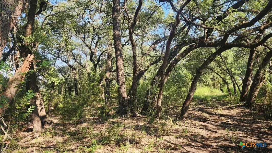 TBD County Road 326, Bertram, TX 78605