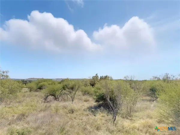 Evant, TX 76525,Lot 2 Ph 3 PR 42110