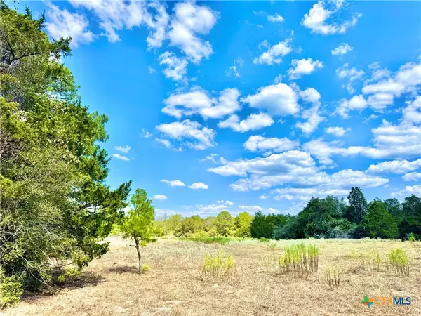 Rosanky, TX 78953,TBD Rabel Road