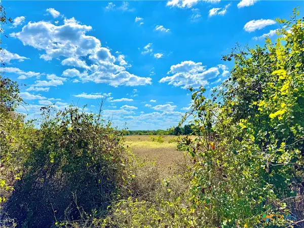 Rosanky, TX 78953,TBD Rabel Road