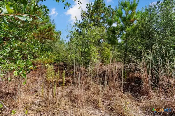 Paige, TX 78659,TBD Tonkawa DR