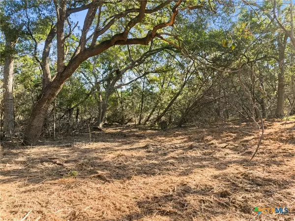 Fischer, TX 78623,817 Rutherford