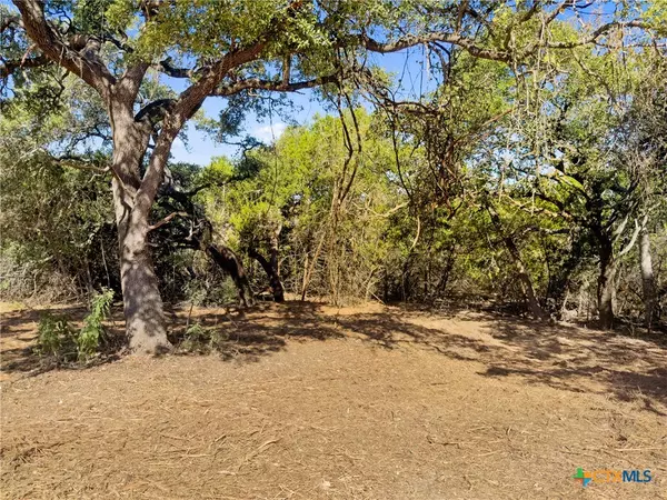 Fischer, TX 78623,817 Rutherford