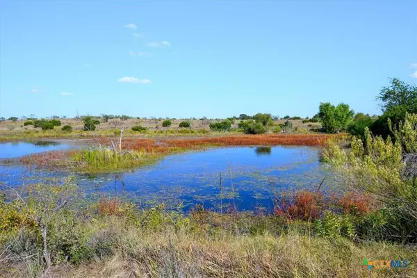 Jonesboro, TX 76538,TBD-61.63 Acres County Road 414