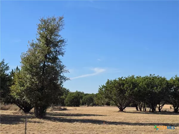 Belton, TX 76513,0000 Wheat RD