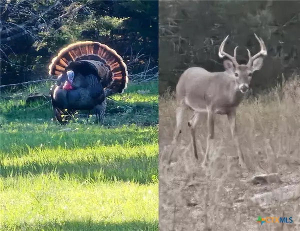 Gatesville, TX 76528,3641 Fm 2412