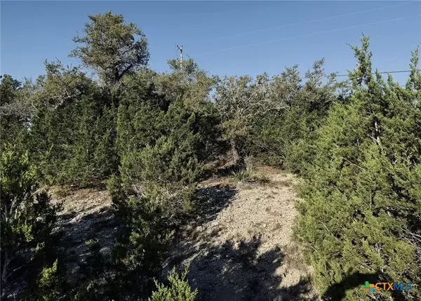 Canyon Lake, TX 78133,1111 Rocky Ridge LOOP