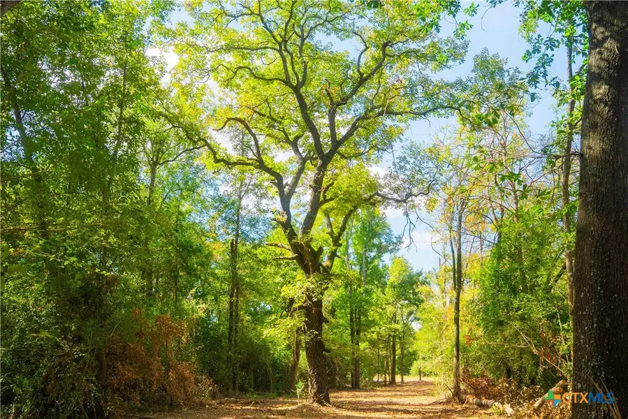 12582 Red Hill Rd, Hearne, TX 77859