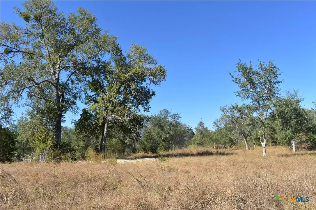 Gonzales, TX 78629,TBD County Road 481