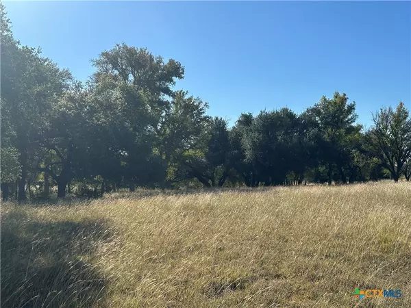 Evant, TX 76525,1444 County Road 529