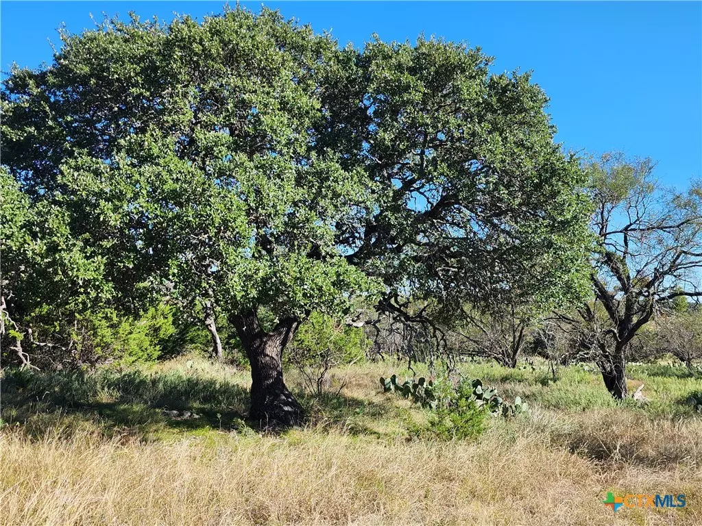 Lampasas, TX 76550,Lot 73 Shin Oak DR